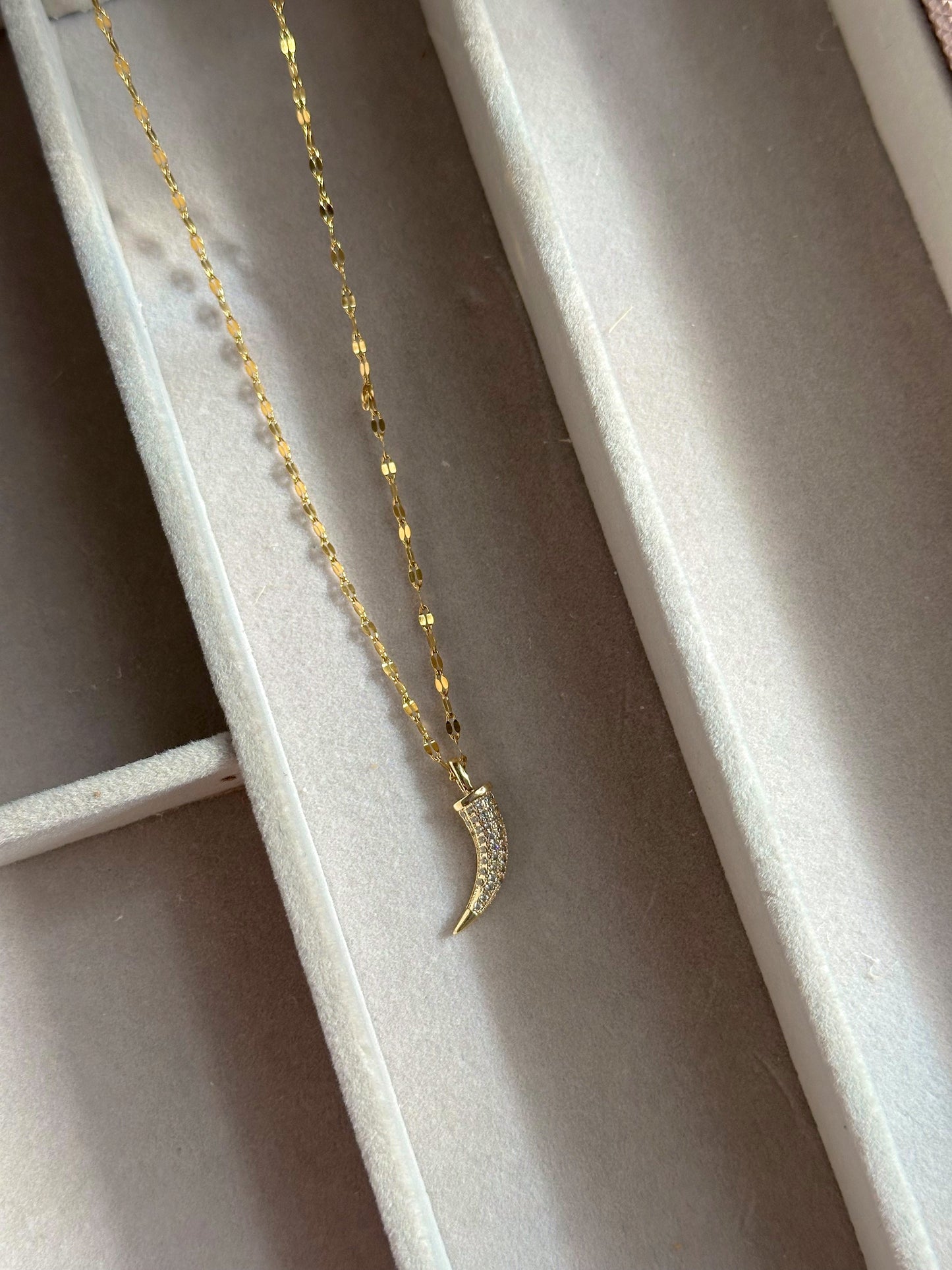 ✨